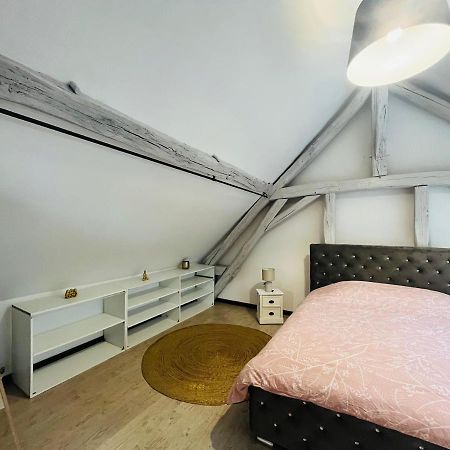 Appartement Ideal Au Coeur D Auxerre Bagian luar foto